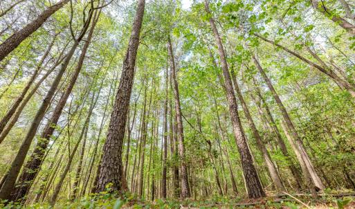 Ground Photos - Nordon-19