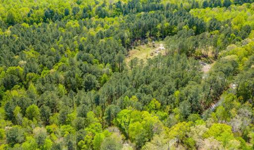 Drone - Taylor Jackson-2