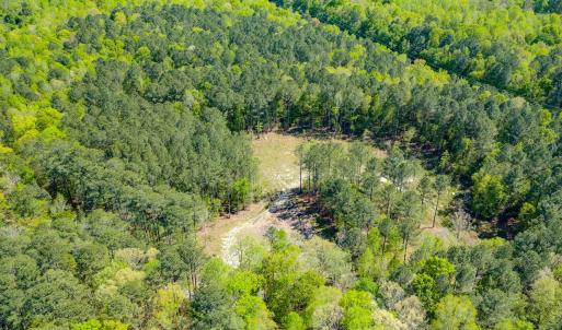 Drone - Taylor Jackson-3