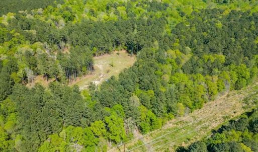 Drone - Taylor Jackson-5