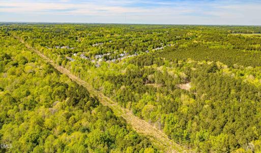 Drone - Taylor Jackson-8