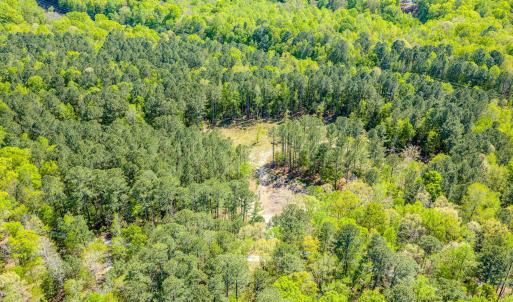 Drone - Taylor Jackson