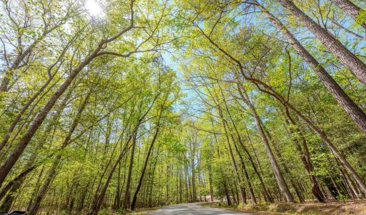 Ground Photos - Taylor Jackson-4