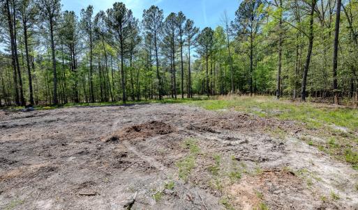 Ground Photos - Taylor Jackson-5