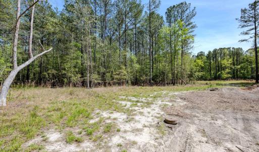 Ground Photos - Taylor Jackson-6