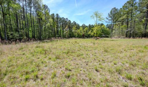 Ground Photos - Taylor Jackson-8