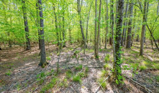 Ground Photos - Taylor Jackson-9