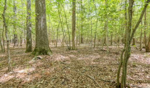 Ground Photos - Taylor Jackson-10