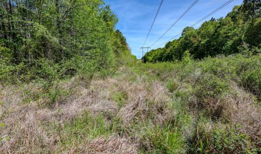 Ground Photos - Taylor Jackson-11