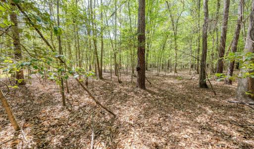 Ground Photos - Taylor Jackson-12