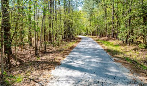 Ground Photos - Taylor Jackson