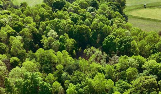 DJI_20260415095000_0005_V