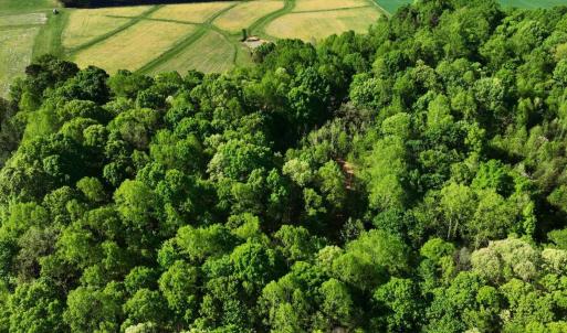 DJI_20260415095050_0007_V