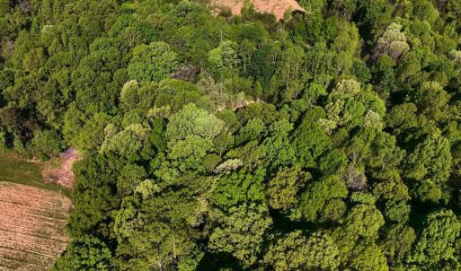 DJI_20260415095213_0008_V