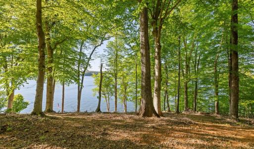 3-web-or-mls-Harbor-Dr-3