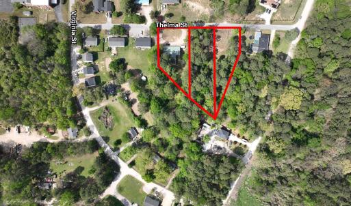 Virgina_Selma_Labeled_3