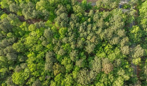 6-web-or-mls-DJI_0809