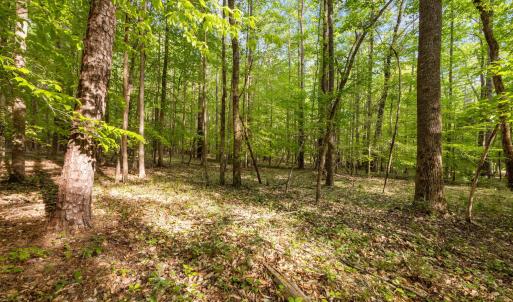 13-web-or-mls-P1119870