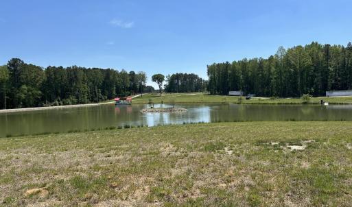 centerviewfromlottopond