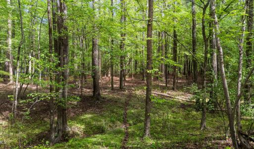 9-web-or-mls-DJI_20260413154607_0519_D