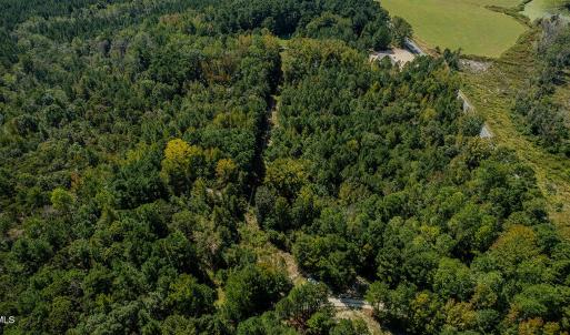 DJI_0367