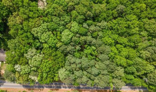 13-631-633 Clayton Rd