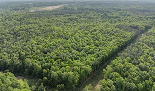 5-web-or-mls-DJI_0187