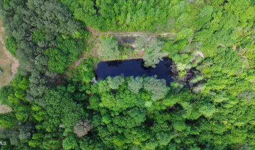 Photo Apr 17 2026, 12 39 56 PM