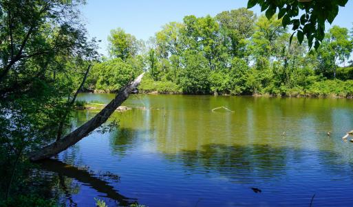 15 Acres Nottingham Rd Jonio 11