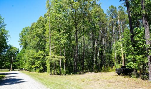 15 Acres Nottingham Rd Jonio 13