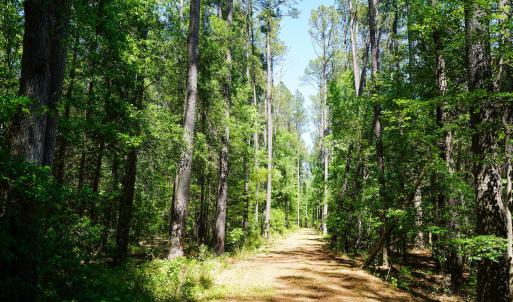 15 Acres Nottingham Rd Jonio 15