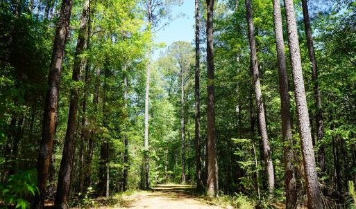 15 Acres Nottingham Rd Jonio 17