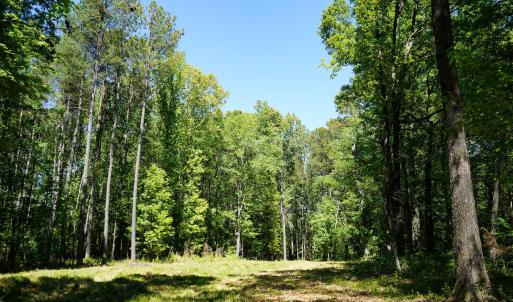 15 Acres Nottingham Rd Jonio 18