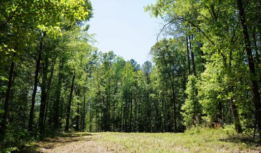 15 Acres Nottingham Rd Jonio 22