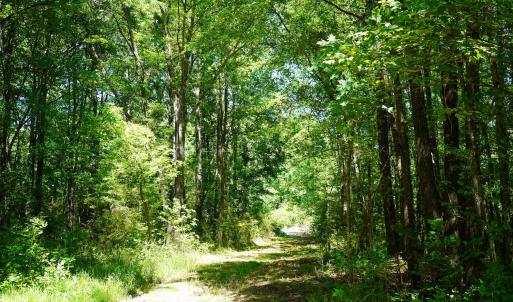 15 Acres Nottingham Rd Jonio 23