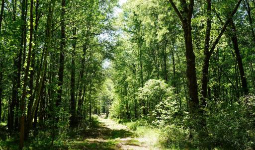 15 Acres Nottingham Rd Jonio 24