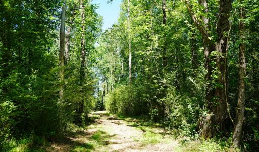 15 Acres Nottingham Rd Jonio 25