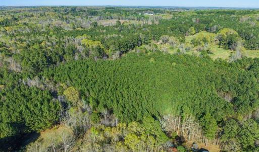 06-006-BrowerRd-Chatham-Parcels-13292-62