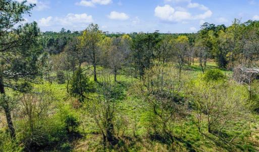 24-024-BrowerRd-Chatham-Parcels-13292-62