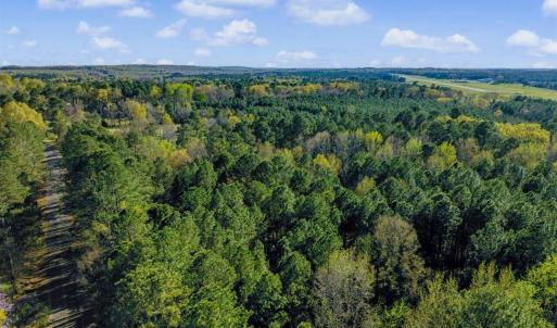 28-028-BrowerRd-Chatham-Parcels-13292-62