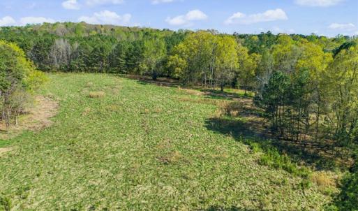 36-036-BrowerRd-Chatham-Parcels-13292-62