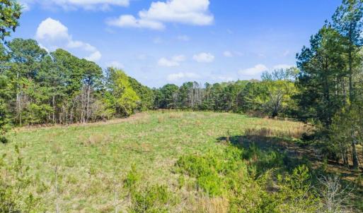 41-041-BrowerRd-Chatham-Parcels-13292-62