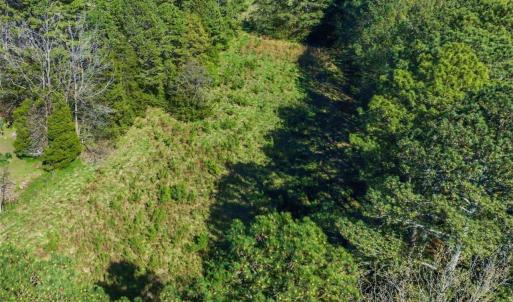 42-042-BrowerRd-Chatham-Parcels-13292-62