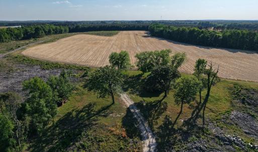 1170McneilHobbs(6)JP