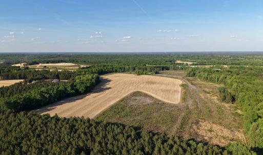 1170Mcneilhobbs(2)JP