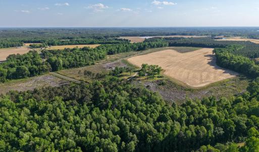 1170McneilHobbs(5)JP