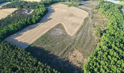 1170Mcneilhobbs(3)JP