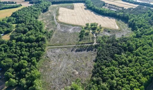 1170Mcneilhobbs(1)JP