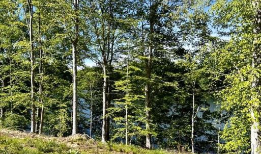 682973159_3398087997035534_5672074196802