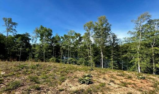 683400886_3398088030368864_7011470450429